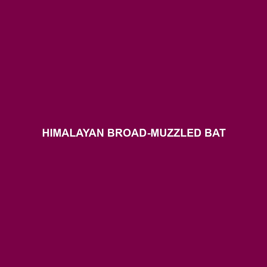 Himalayan Broad-muzzled Bat