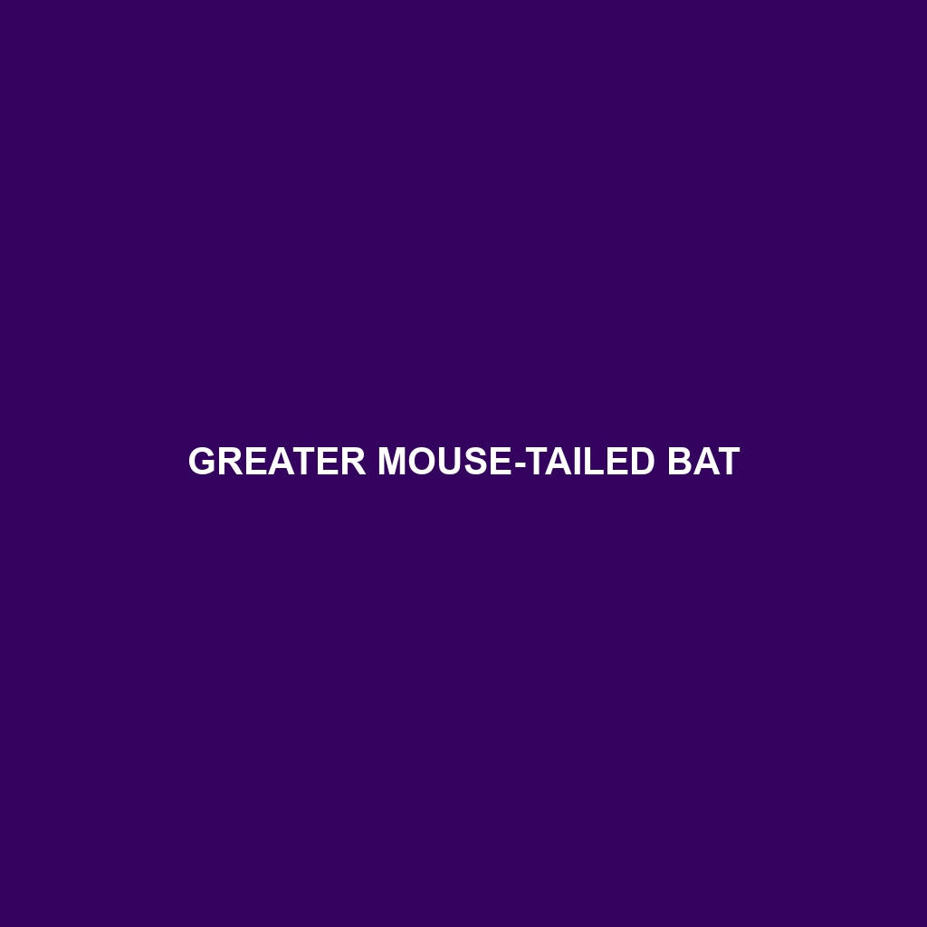 Greater Mouse-tailed Bat