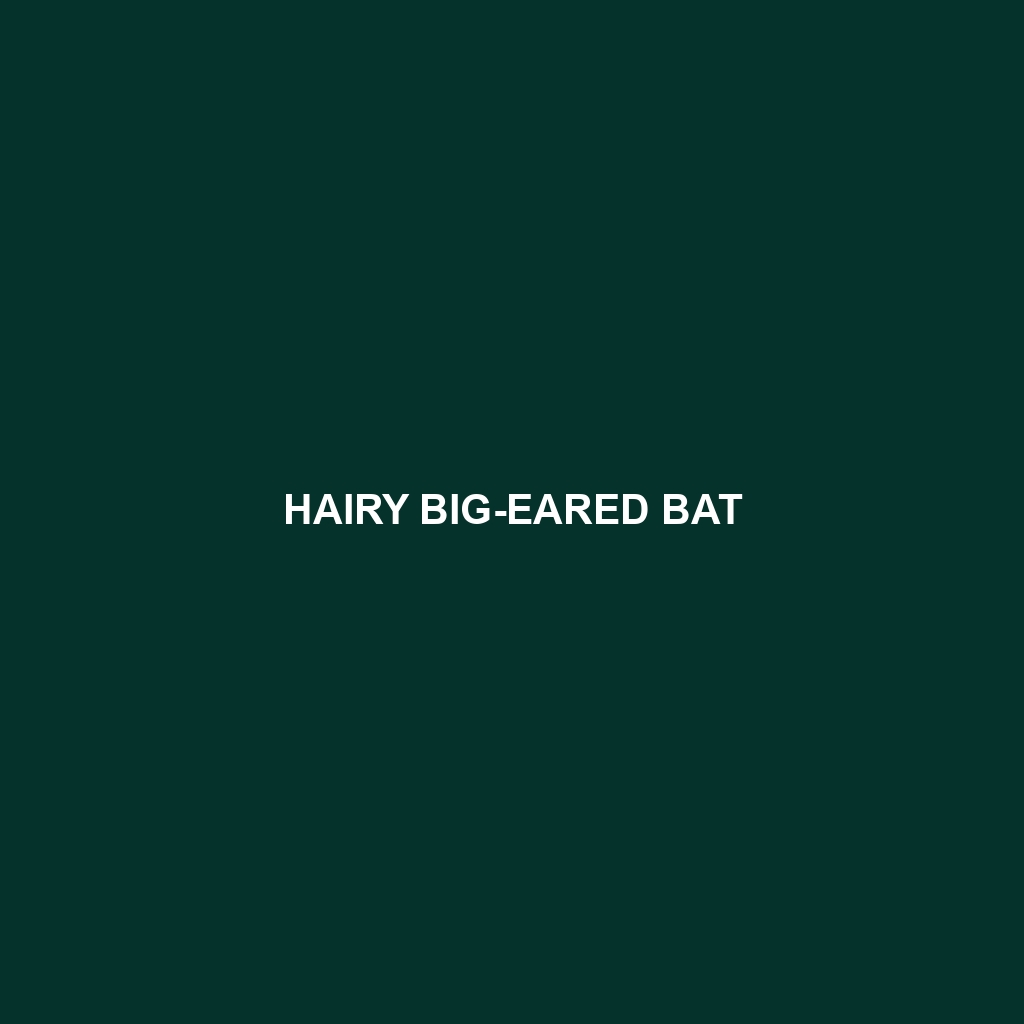 Hairy Big-eared Bat