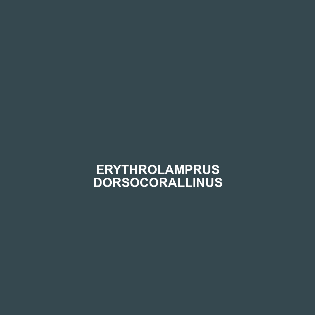 Erythrolamprus dorsocorallinus