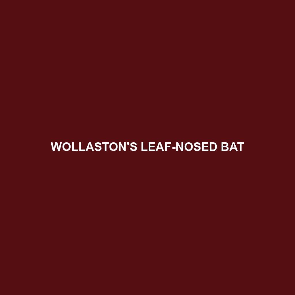 Wollaston's Leaf-nosed Bat