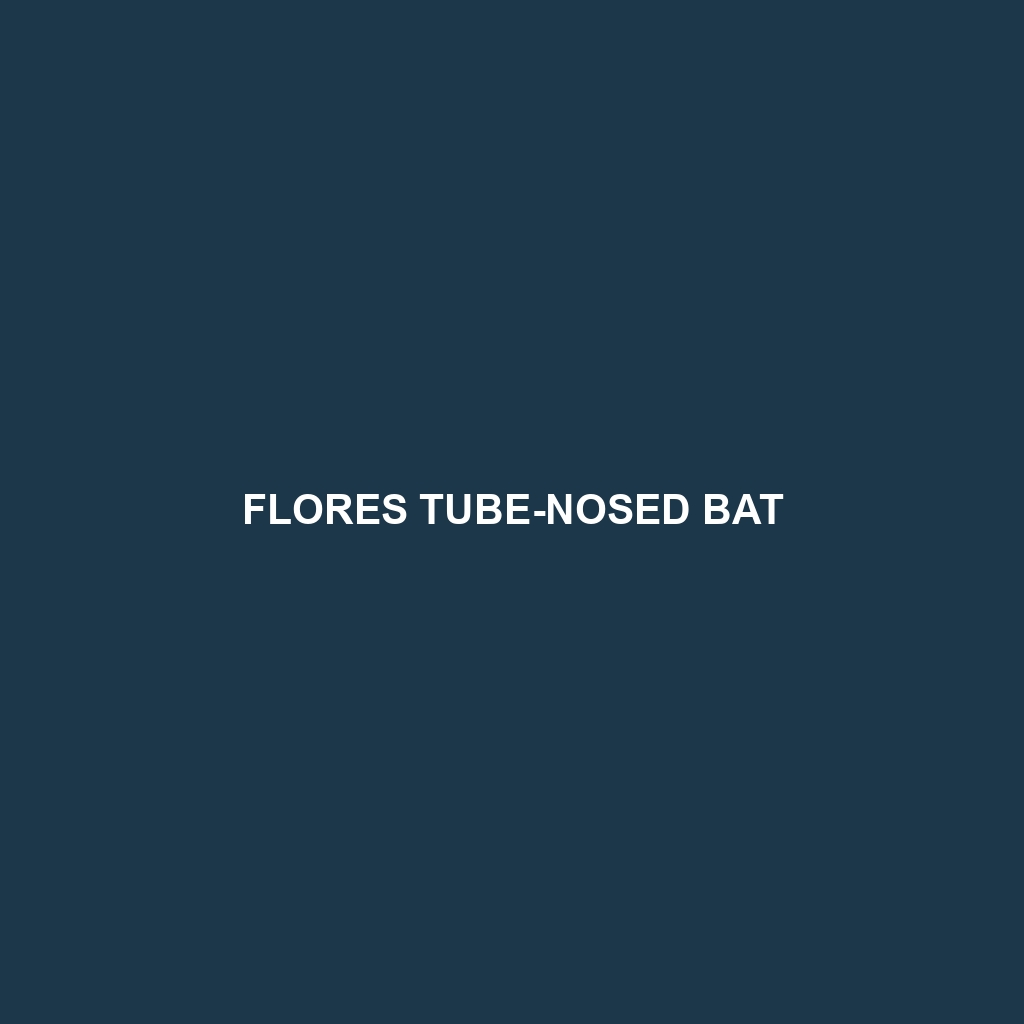 Flores Tube-nosed Bat