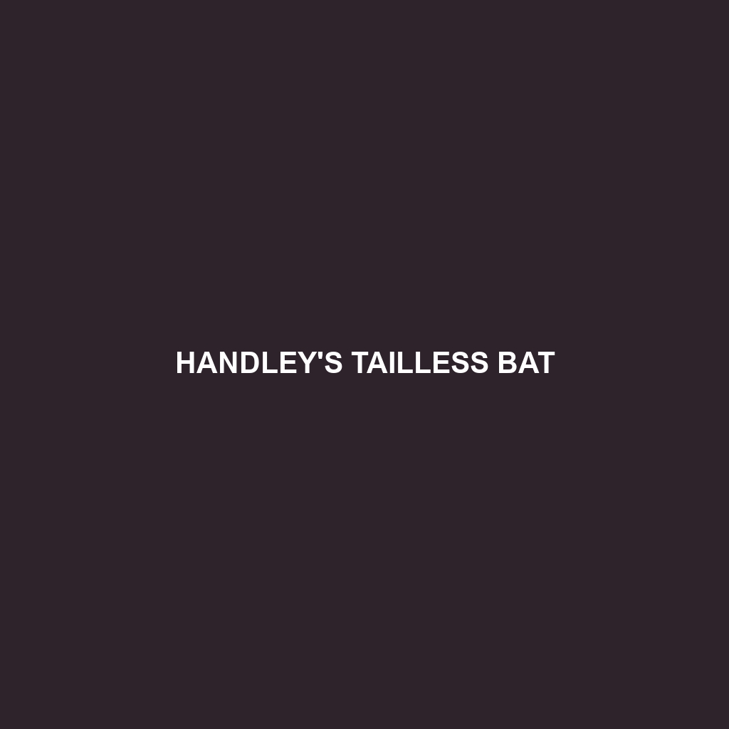 Handley's Tailless Bat