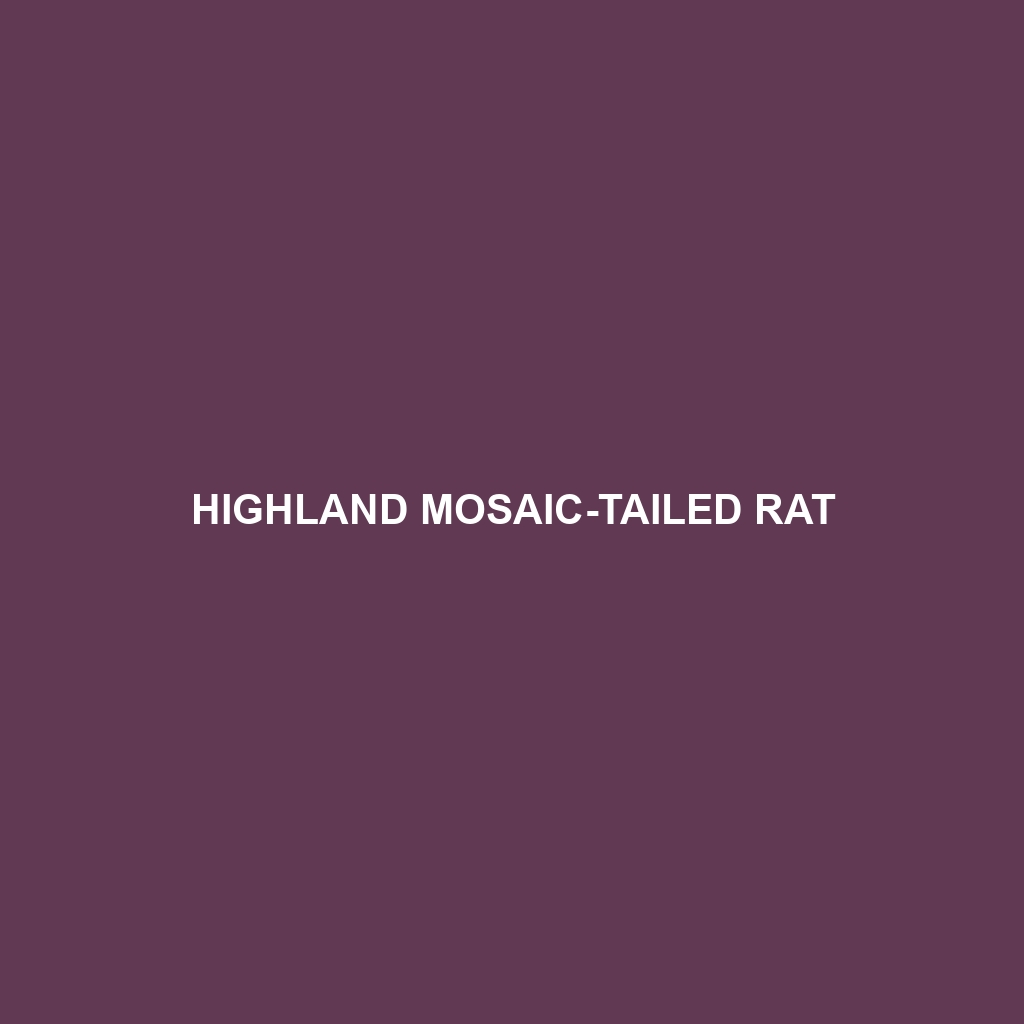 Highland Mosaic-tailed Rat