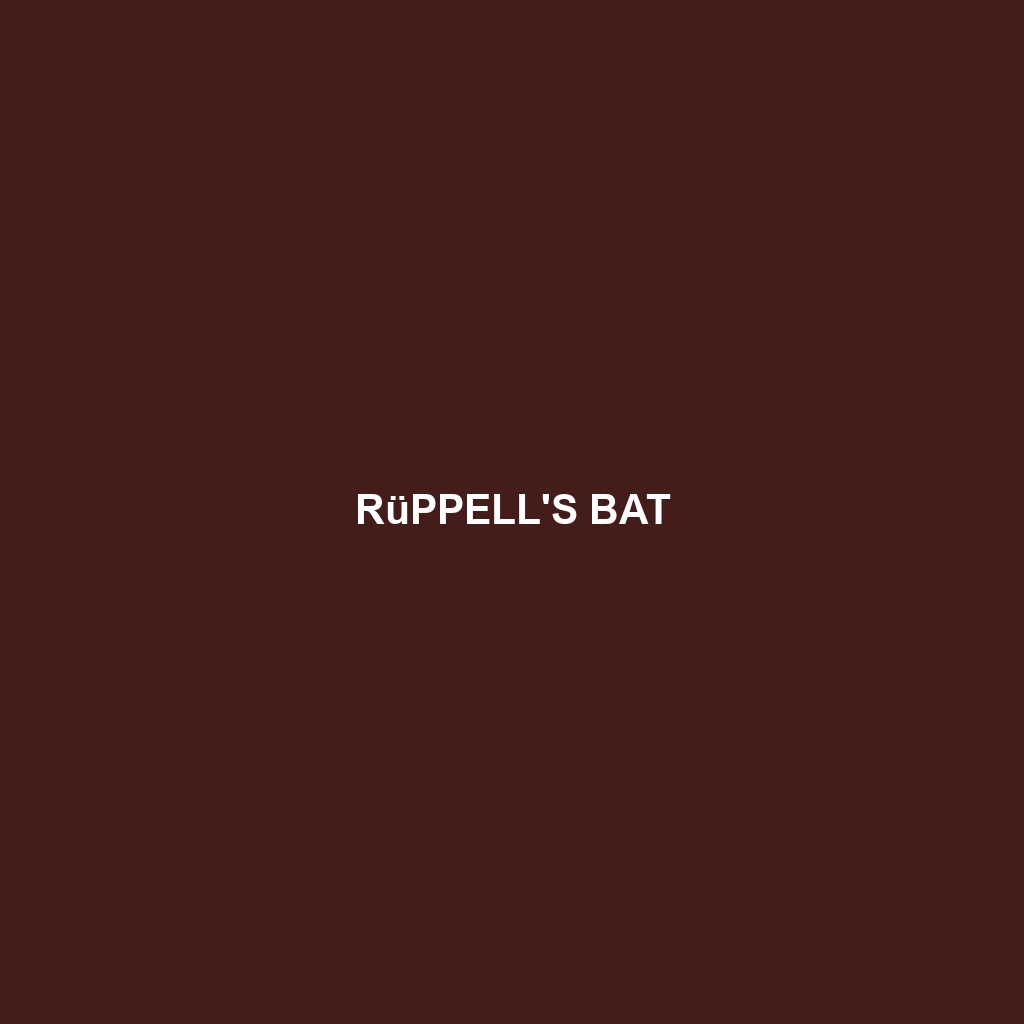 Rüppell's Bat