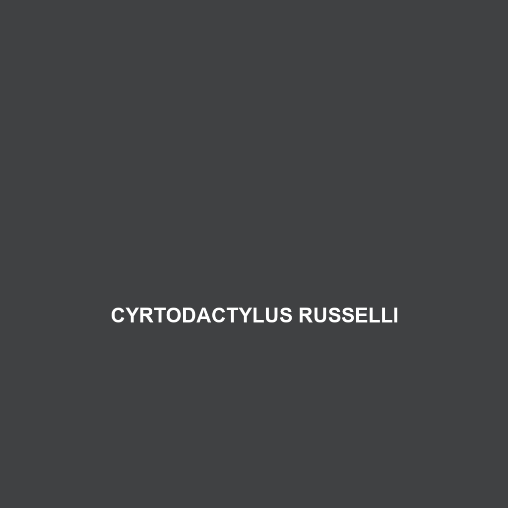 Cyrtodactylus russelli