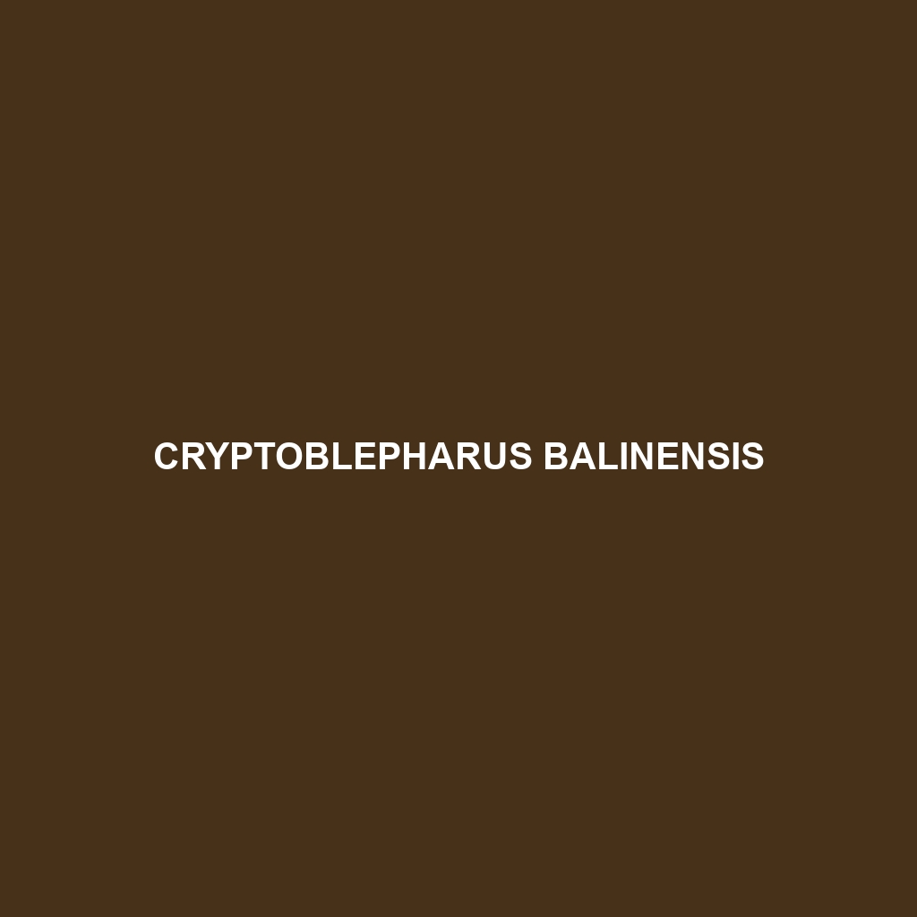 Cryptoblepharus balinensis