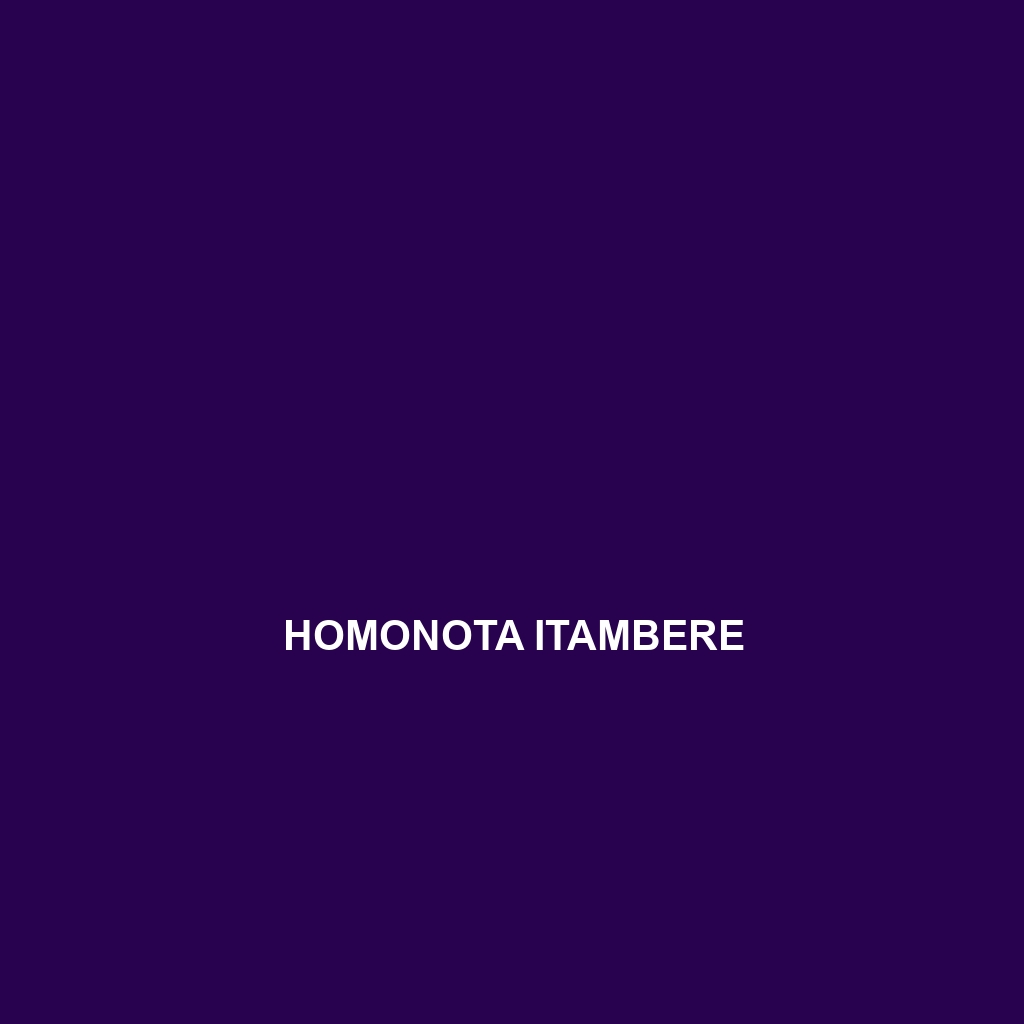 Homonota itambere