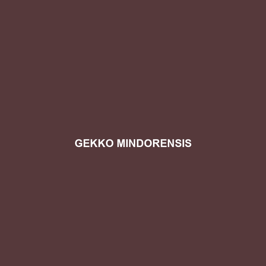 Gekko mindorensis