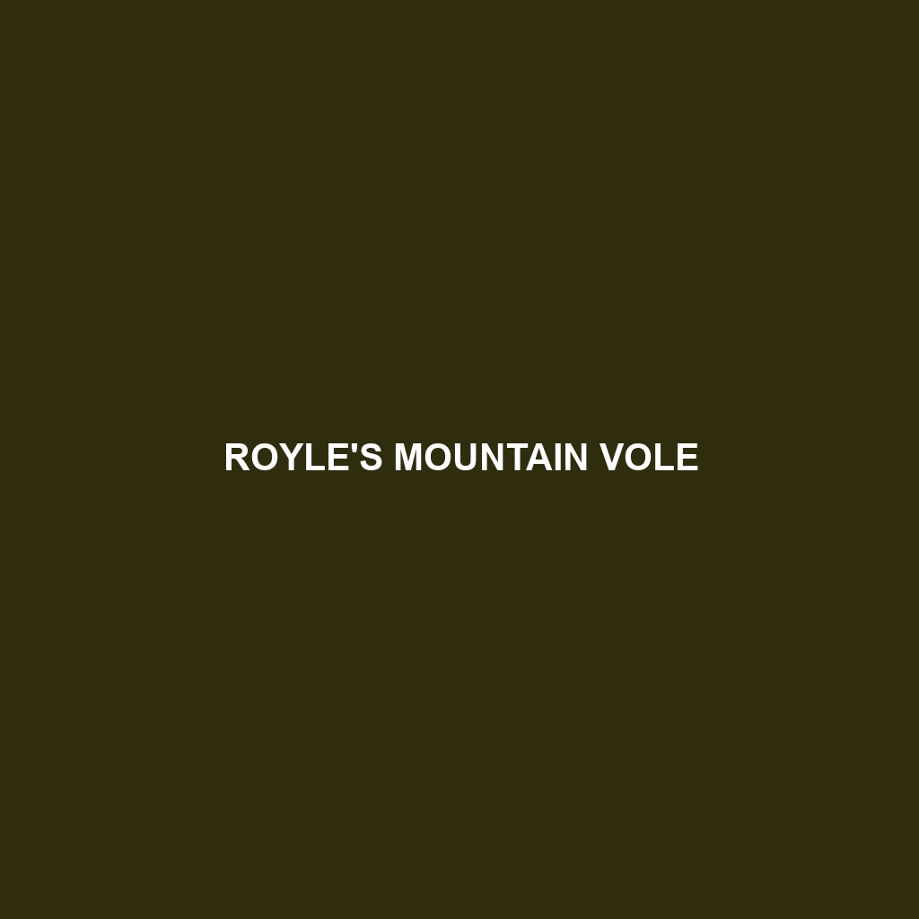 Royle's Mountain Vole