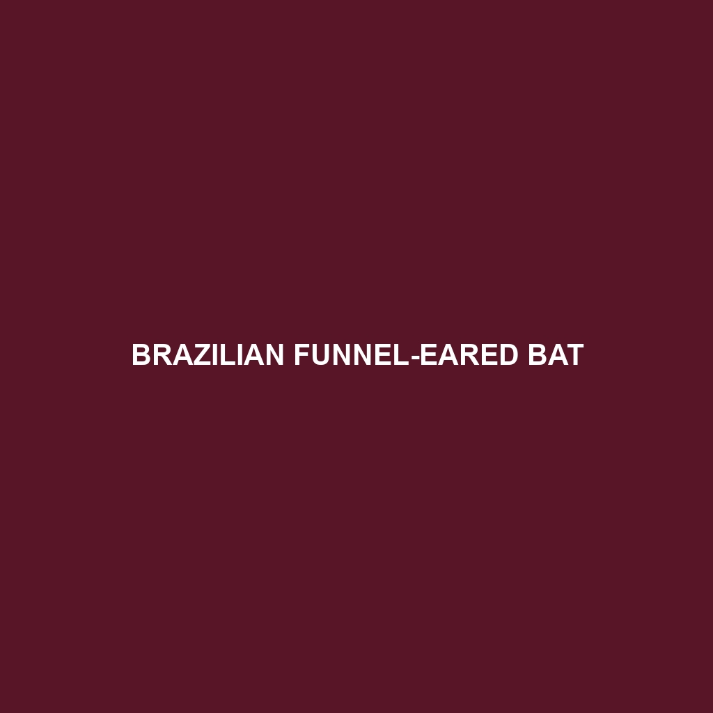 Brazilian Funnel-eared Bat