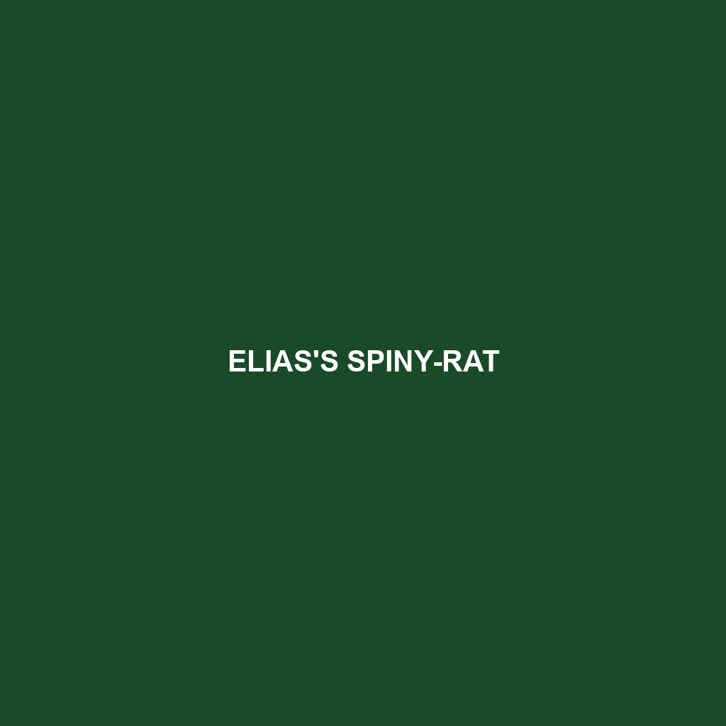 Elias's Spiny-rat