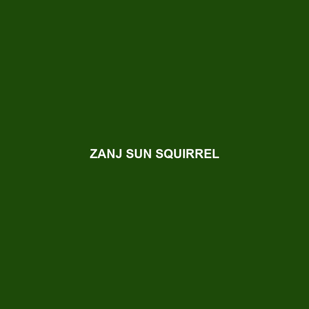 Zanj Sun Squirrel