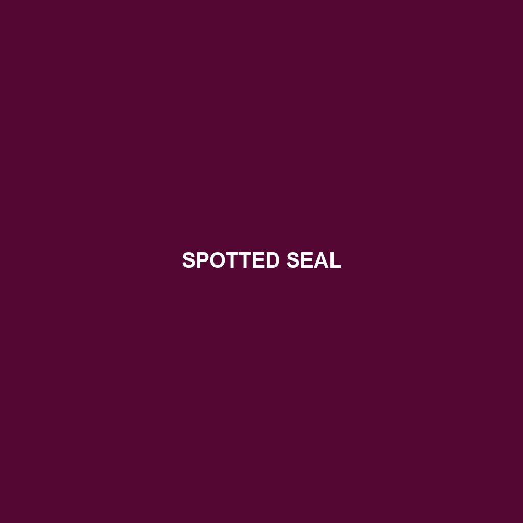 Spotted Seal