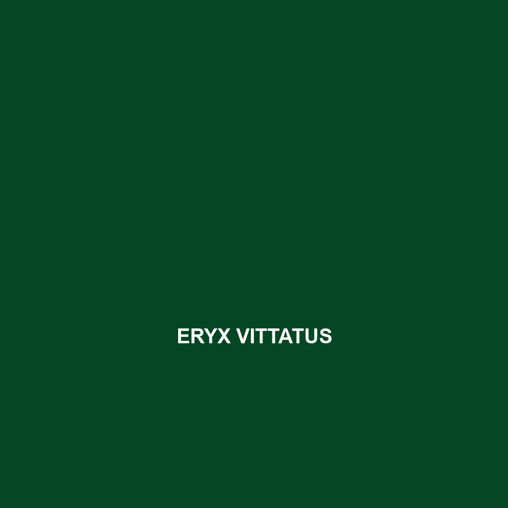 Eryx vittatus