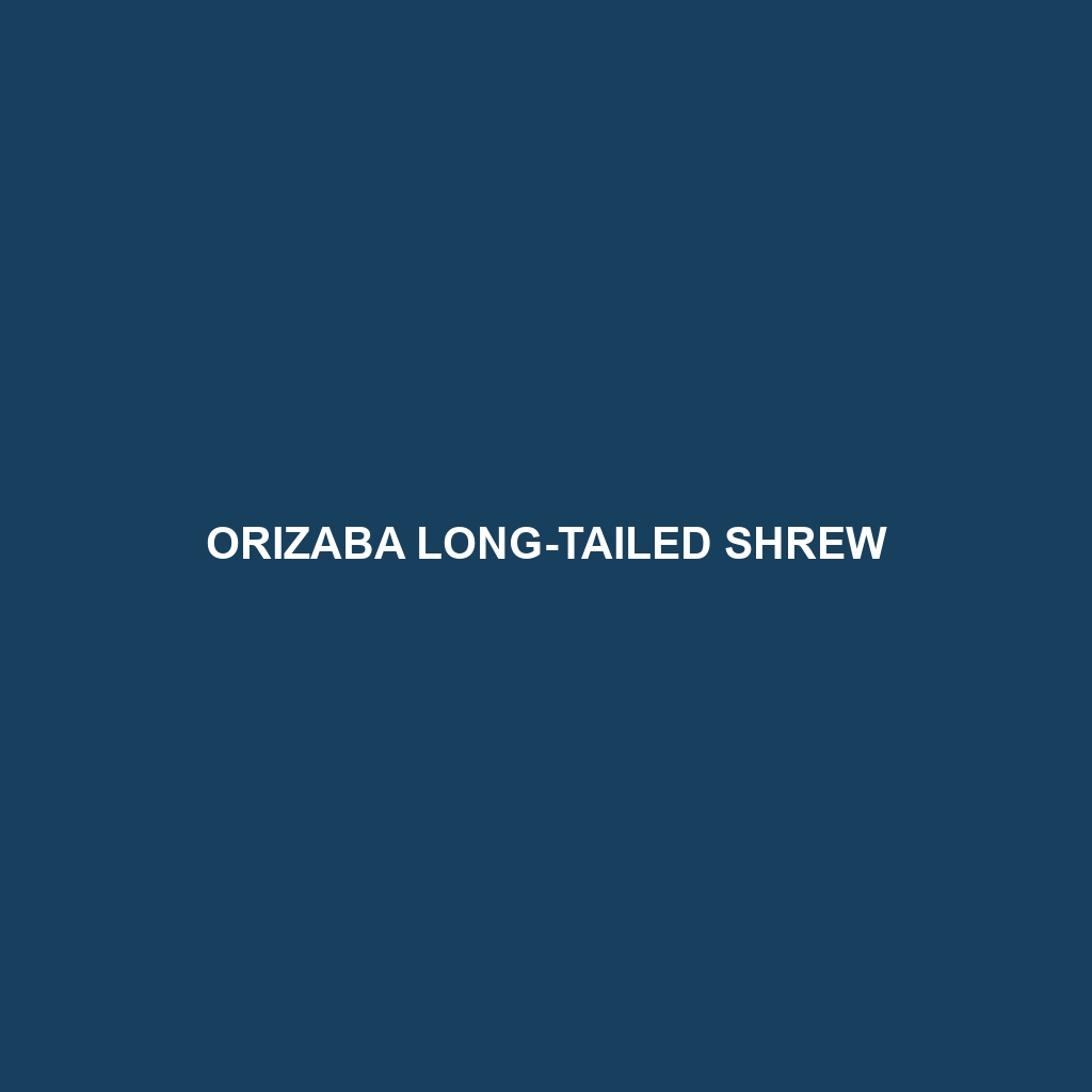 Orizaba Long-tailed Shrew