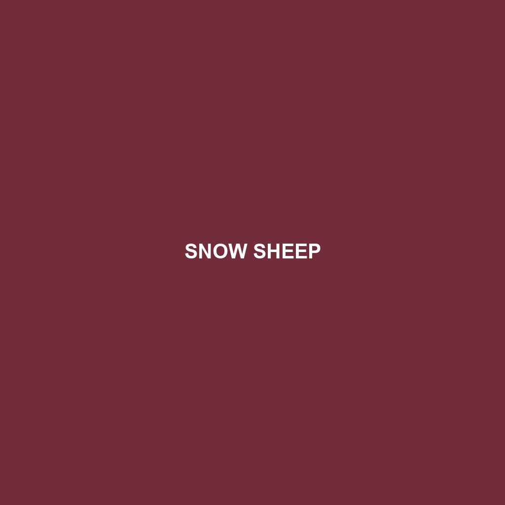 Snow Sheep