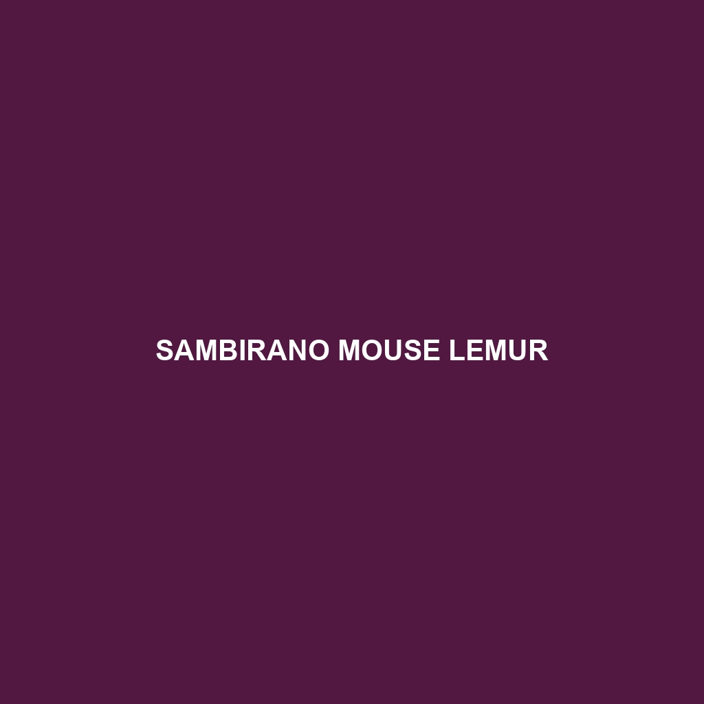 Sambirano Mouse Lemur