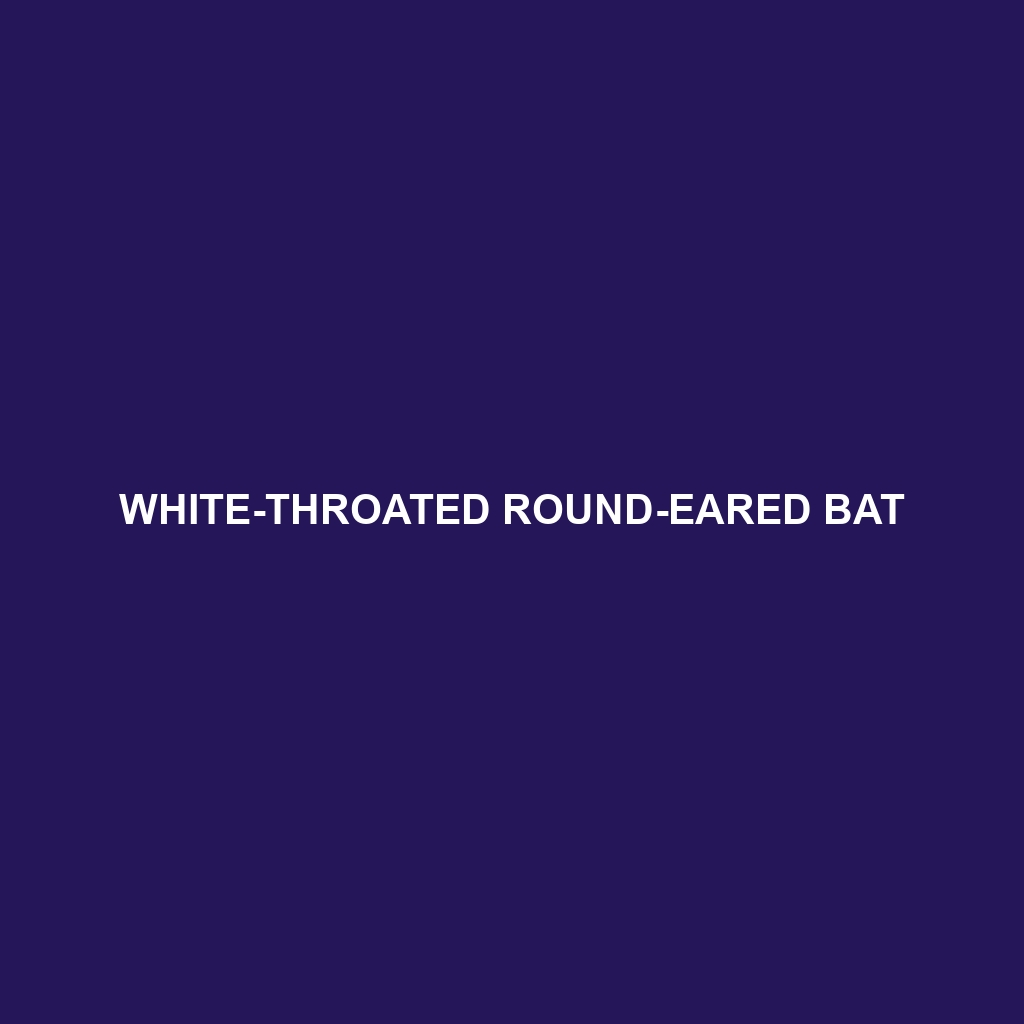 White-throated Round-eared Bat