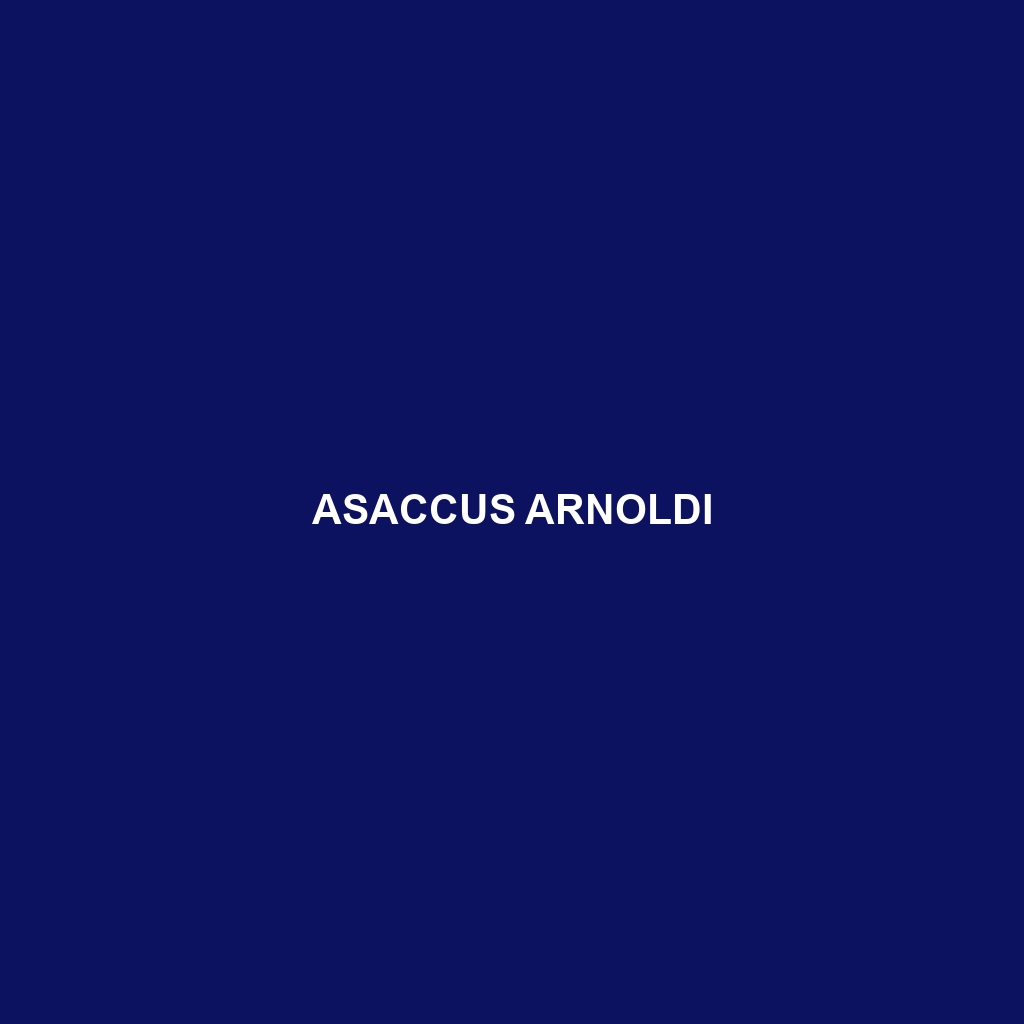 Asaccus arnoldi