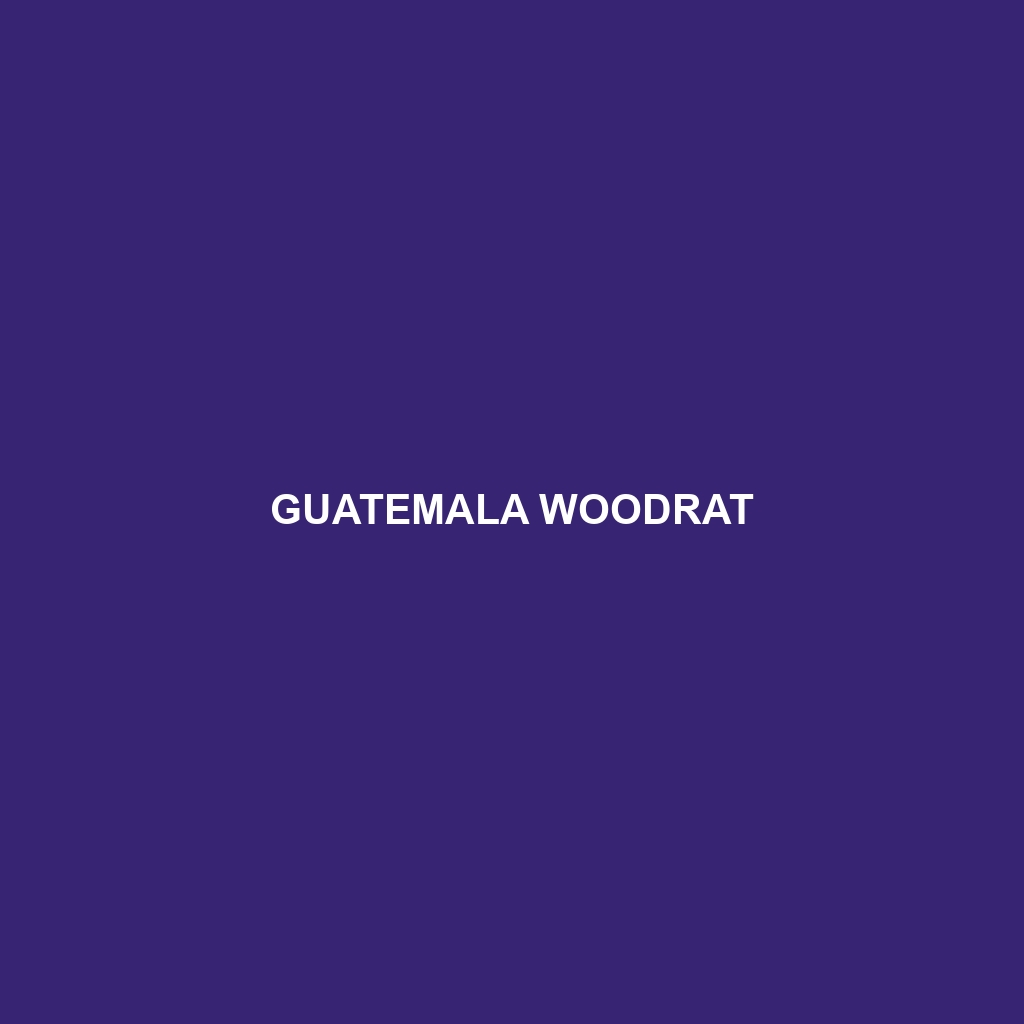 Guatemala Woodrat