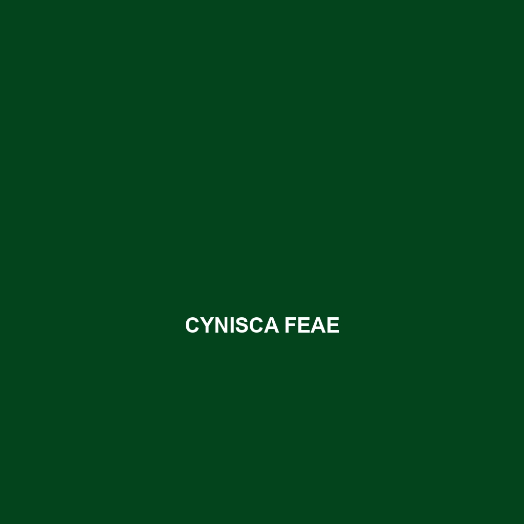 Cynisca feae