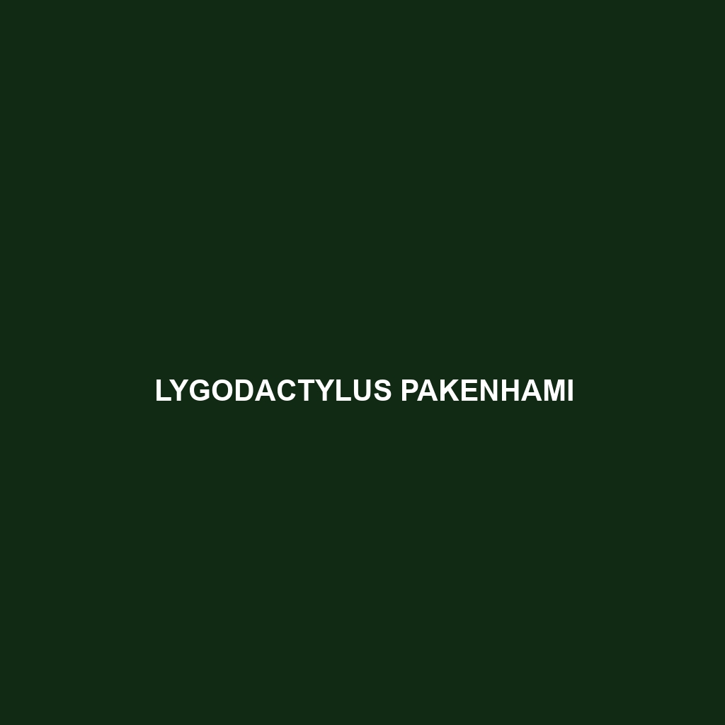 Lygodactylus pakenhami