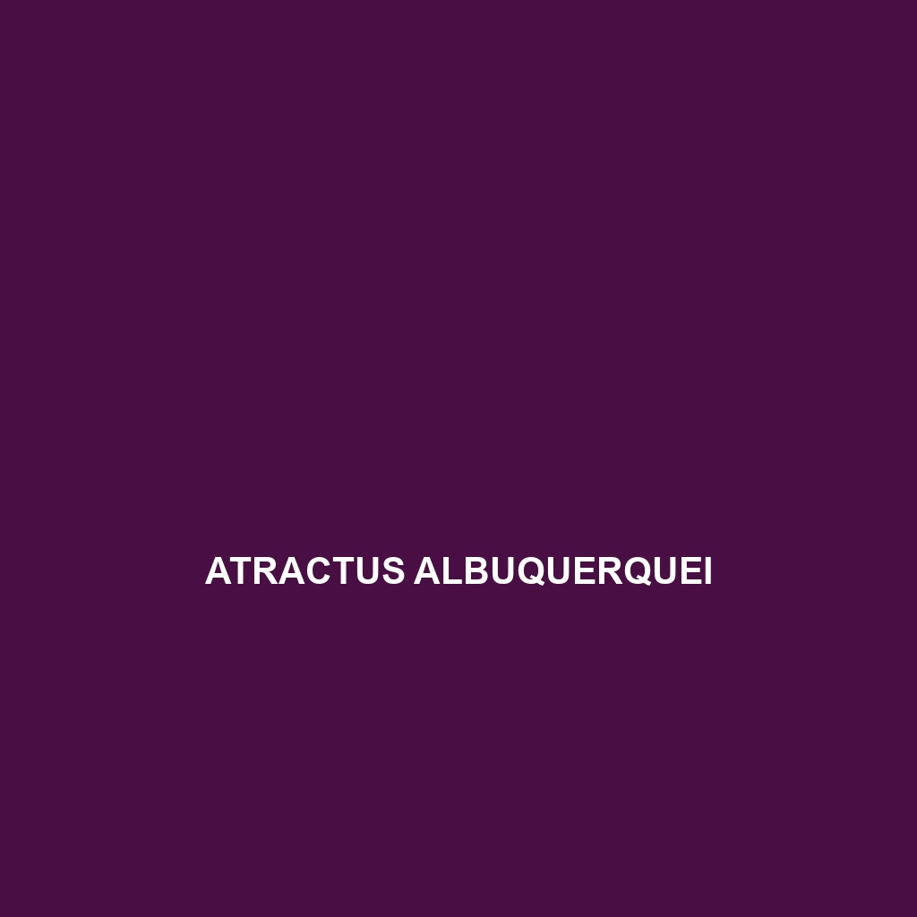 Atractus albuquerquei