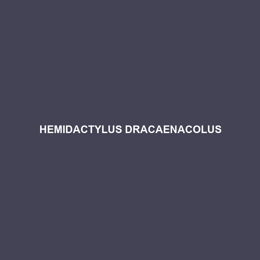 Hemidactylus dracaenacolus