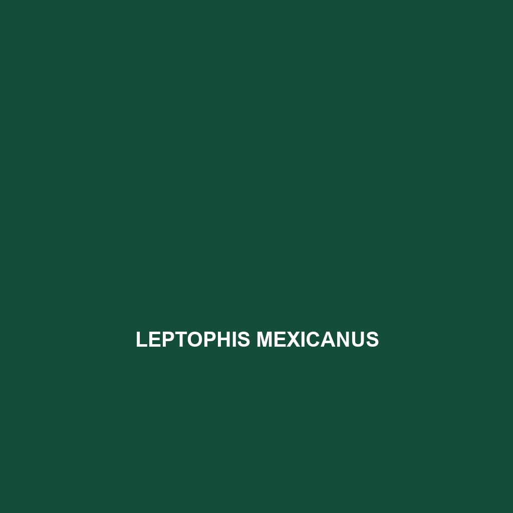 Leptophis mexicanus