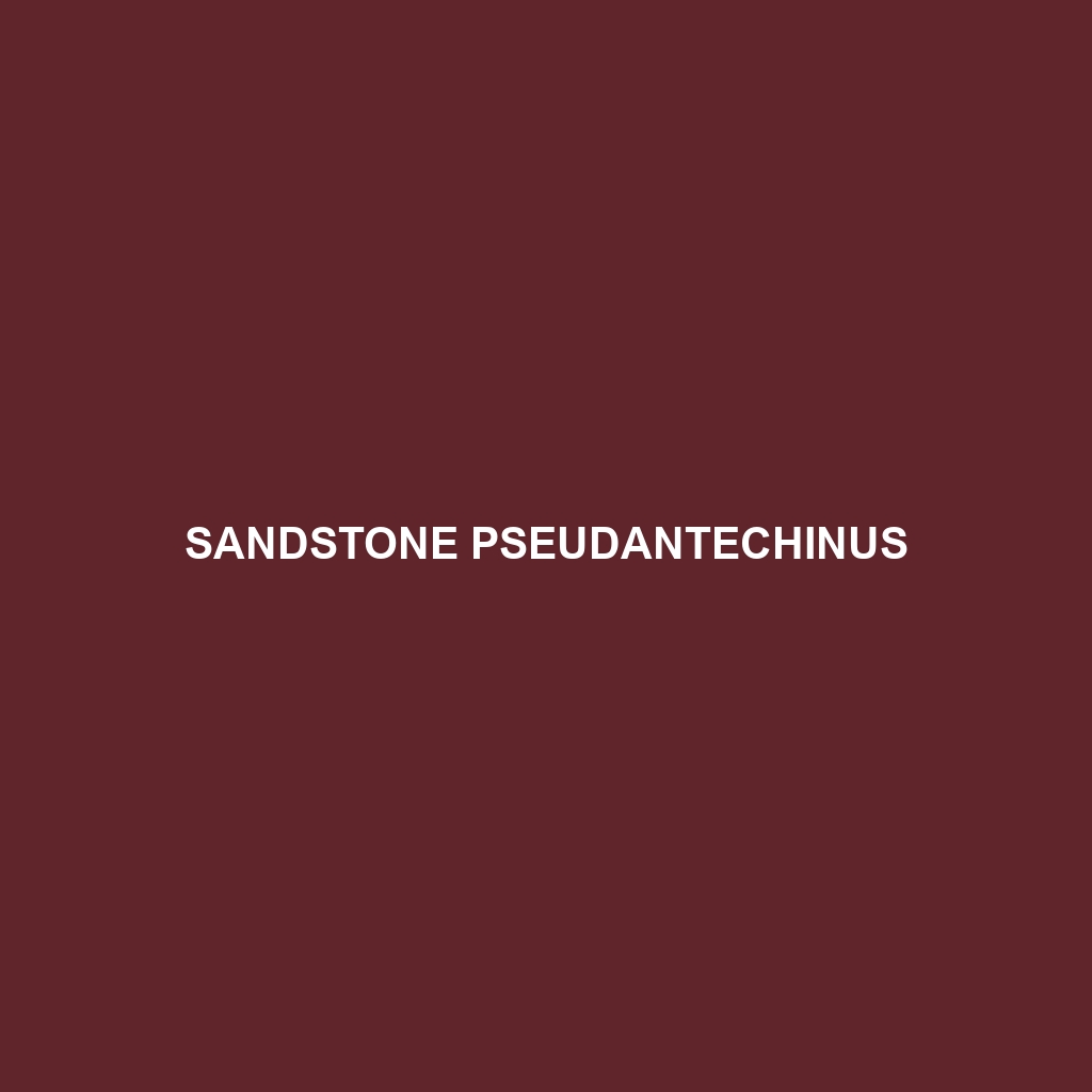 Sandstone Pseudantechinus