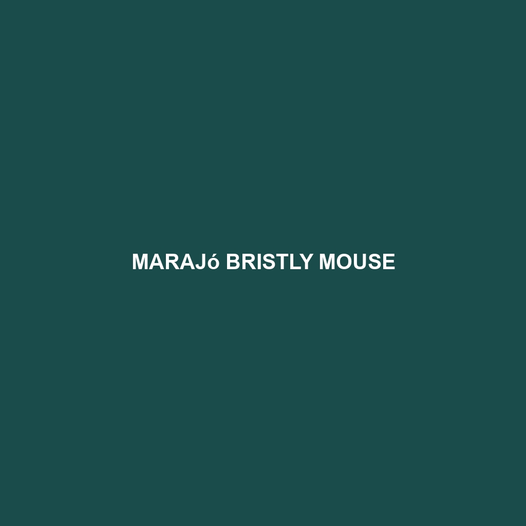 Marajó Bristly Mouse