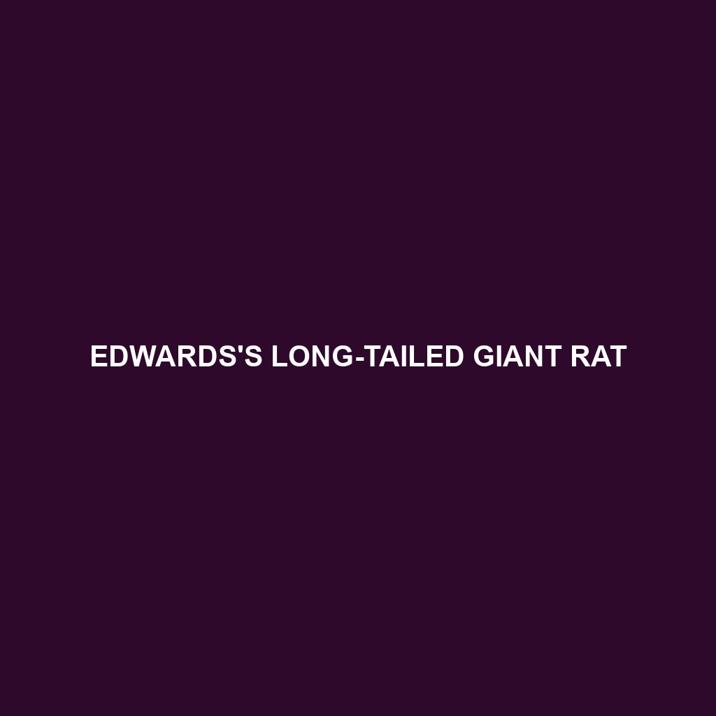 Edwards's Long-tailed Giant Rat