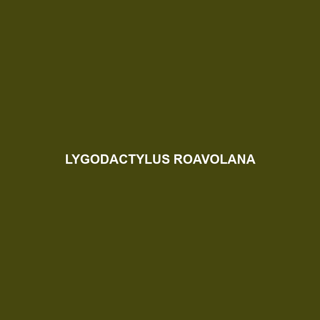 Lygodactylus roavolana