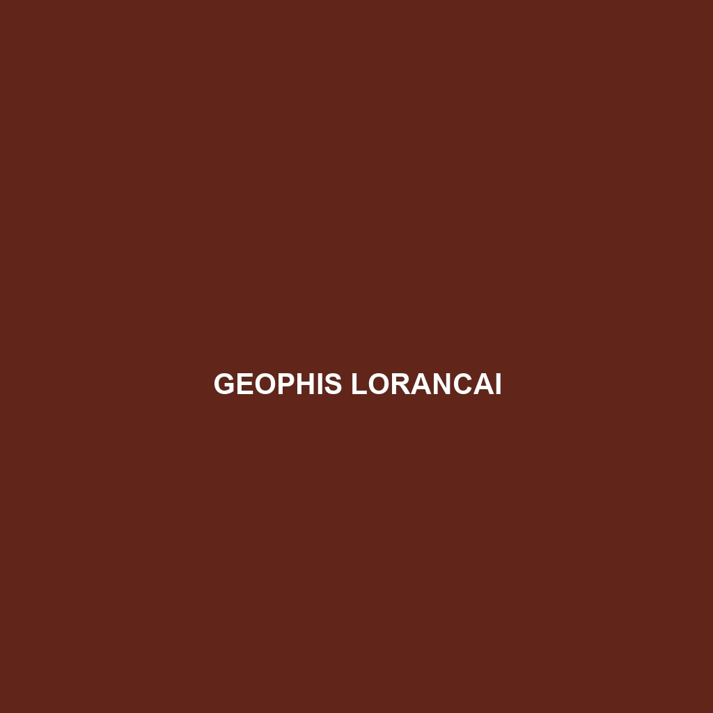 Geophis lorancai