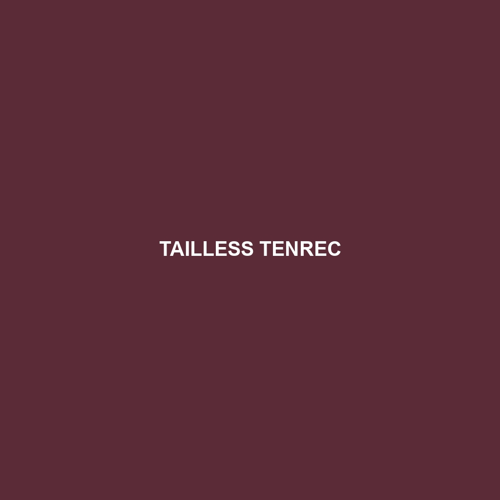 Tailless Tenrec