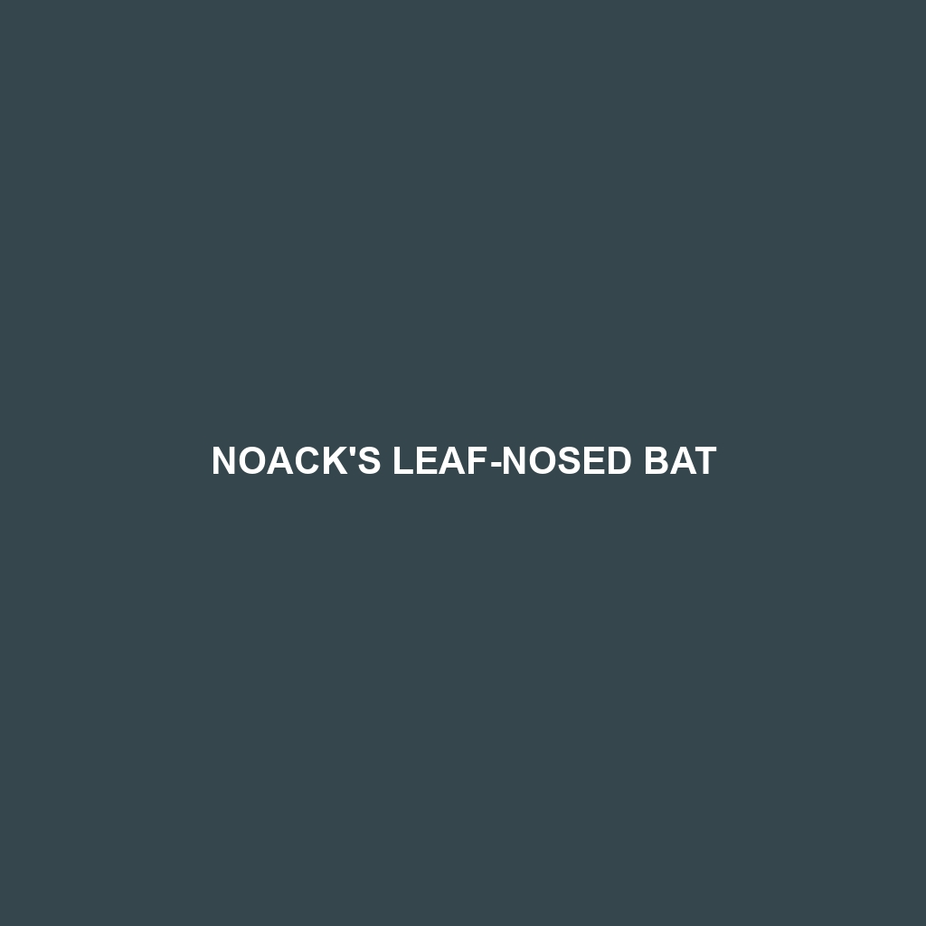 Noack's Leaf-nosed Bat