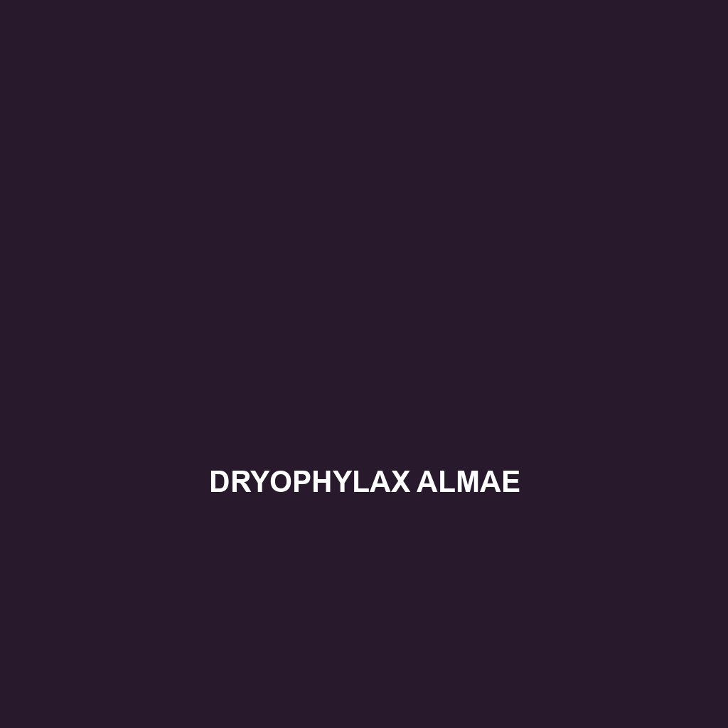 Dryophylax almae