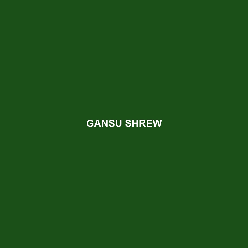 Gansu Shrew