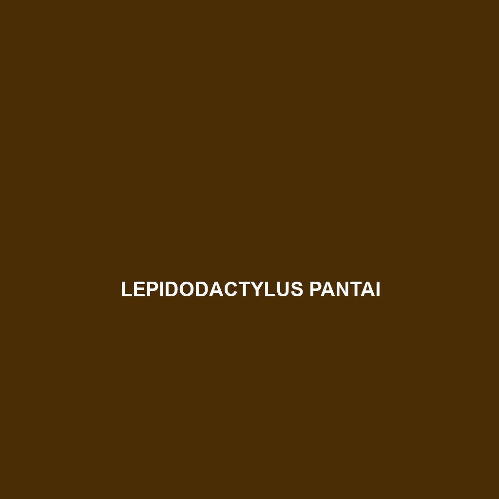 Lepidodactylus pantai