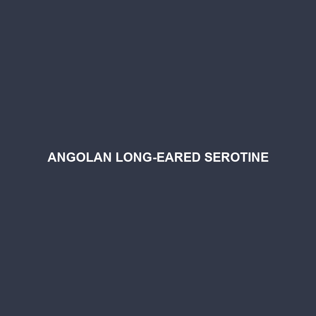 Angolan Long-eared Serotine