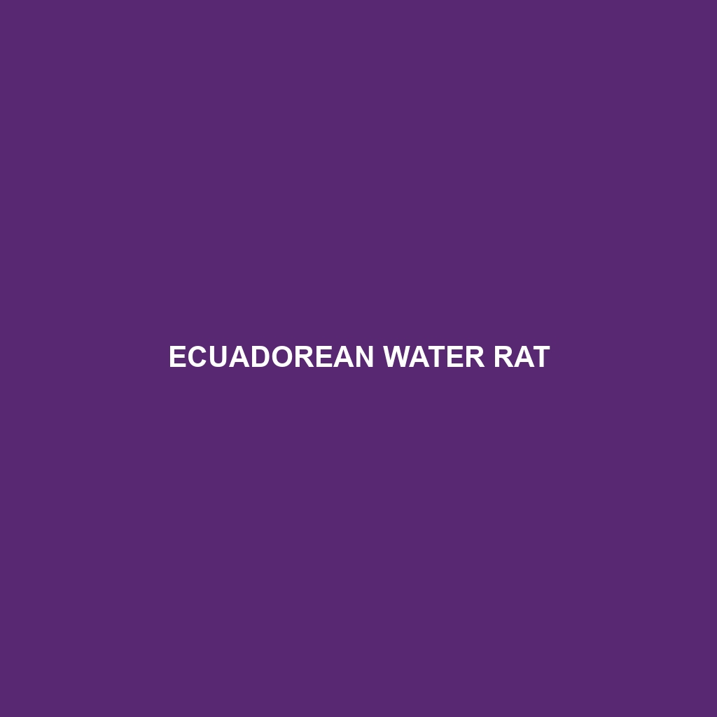 Ecuadorean Water Rat