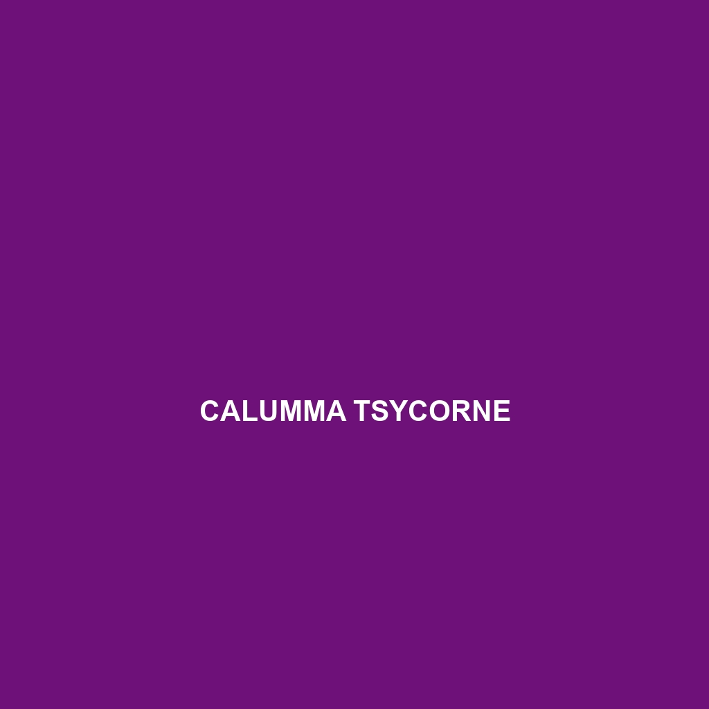 Calumma tsycorne