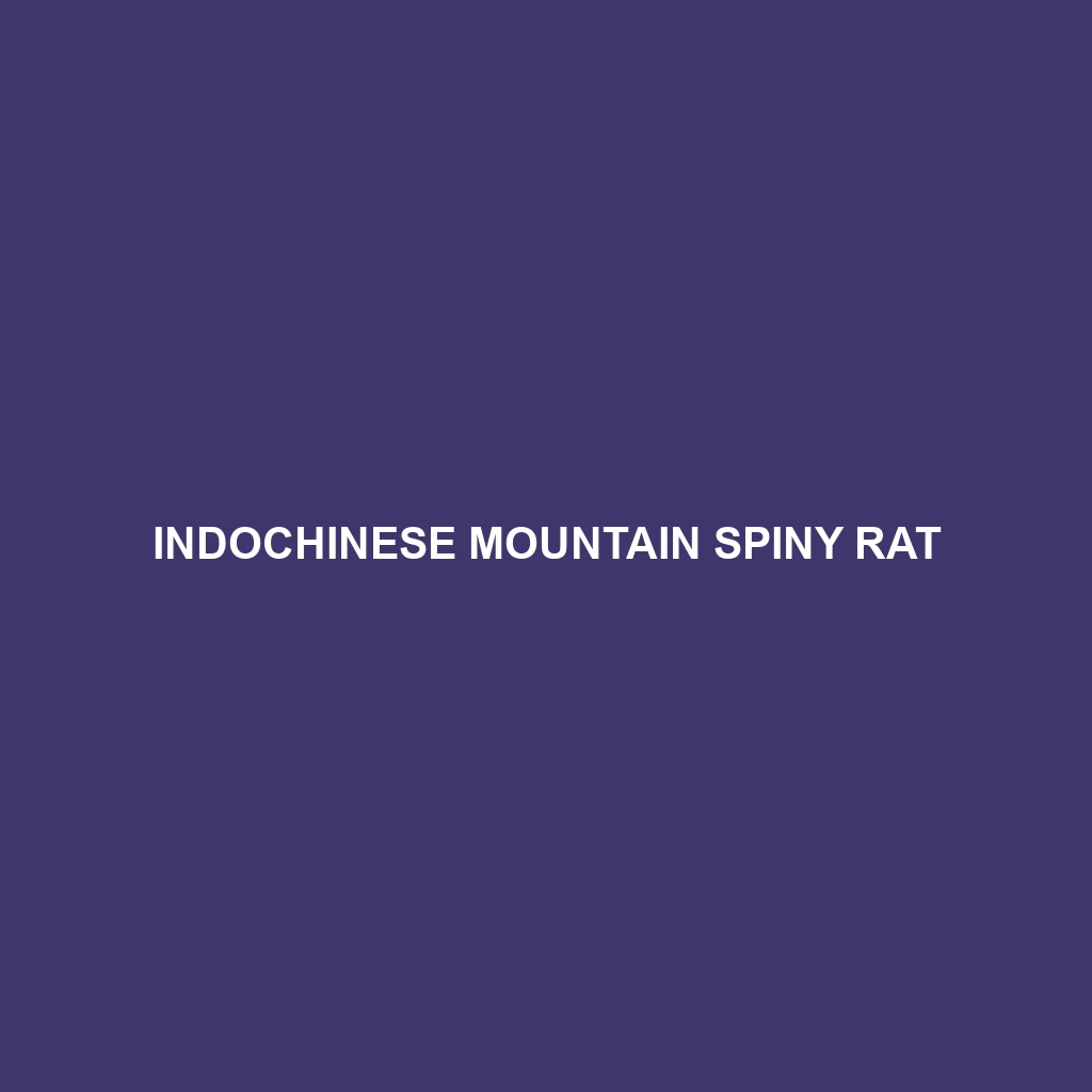 Indochinese Mountain Spiny Rat