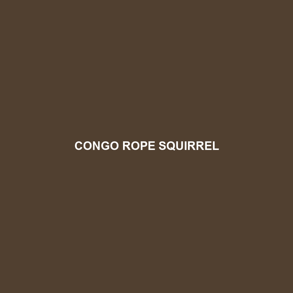 Congo Rope Squirrel