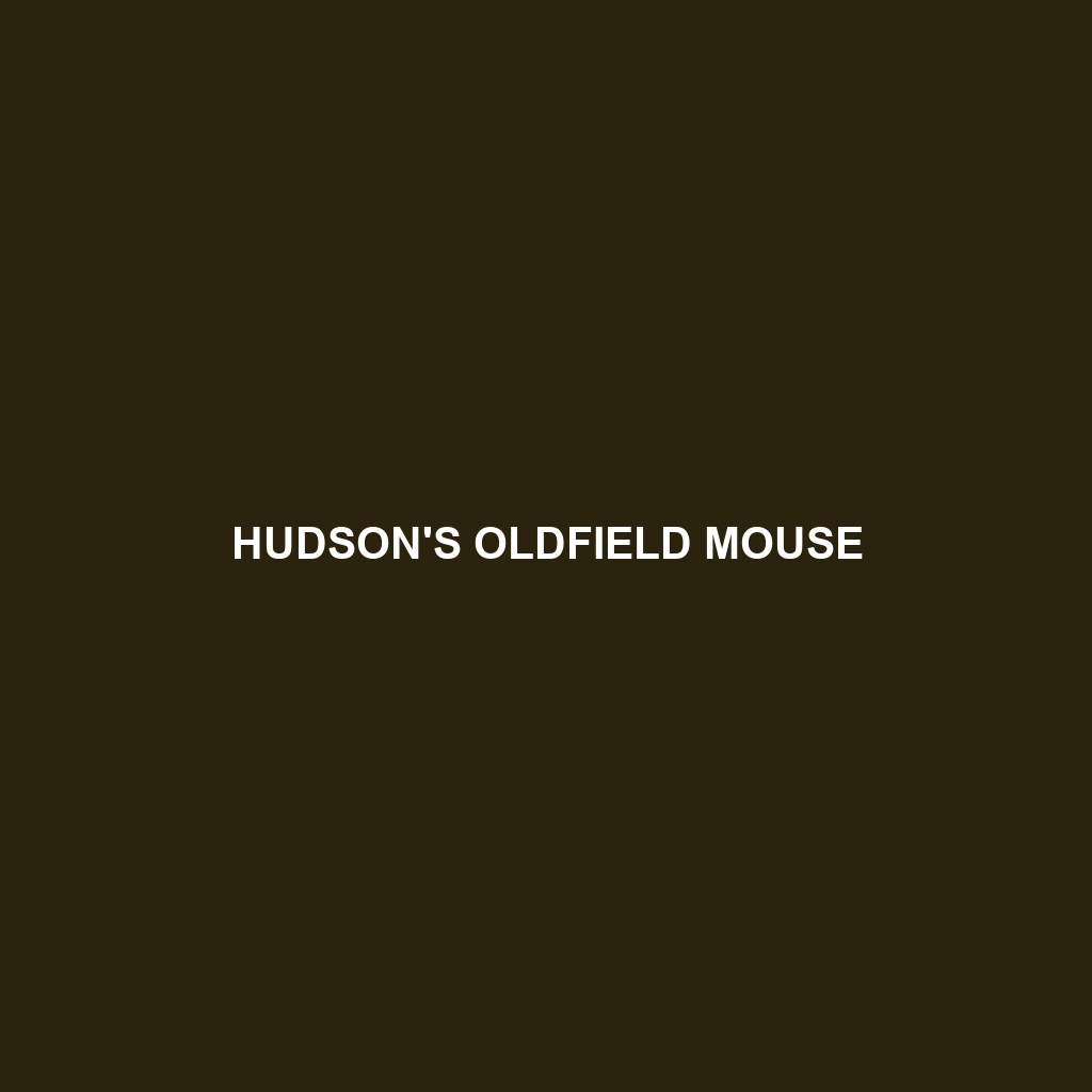 Hudson's Oldfield Mouse