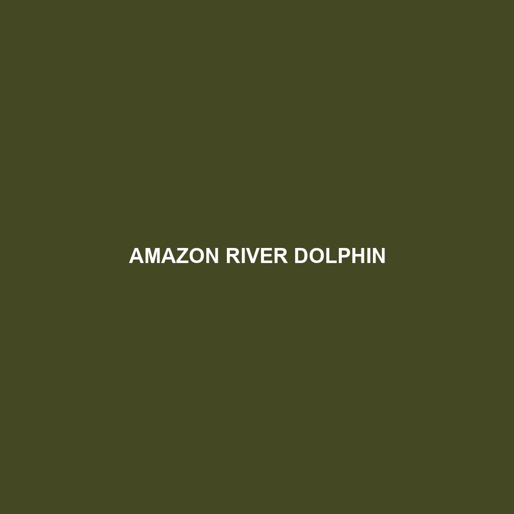 Amazon River Dolphin