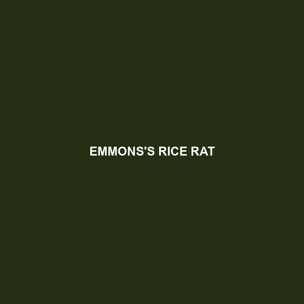 Emmons's Rice Rat