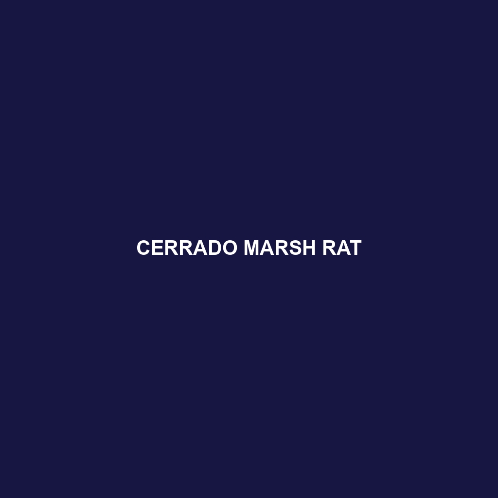 Cerrado Marsh Rat