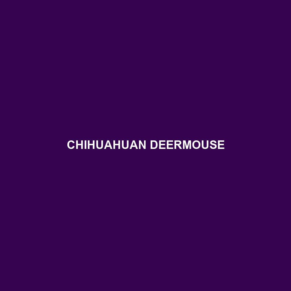 Chihuahuan Deermouse